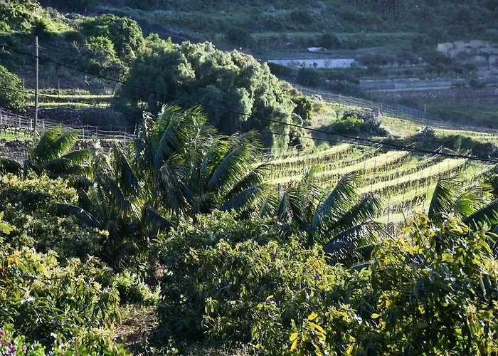 Вилла Haciendas Del Valle-montemayor