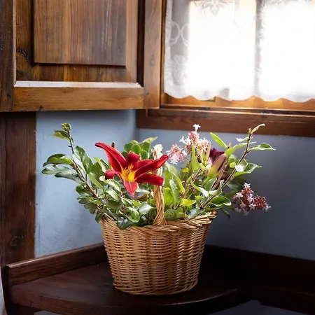 Haciendas Del Valle-montemayor Willa Las Toscas